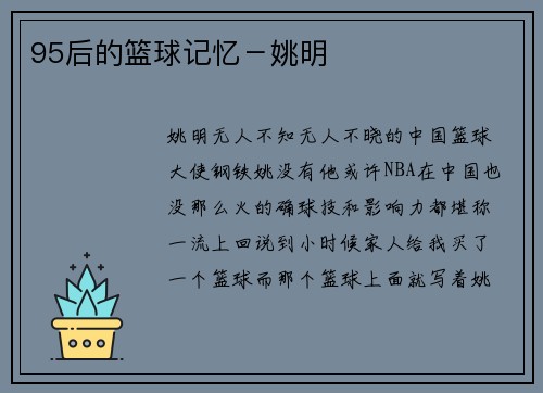 95后的篮球记忆－姚明